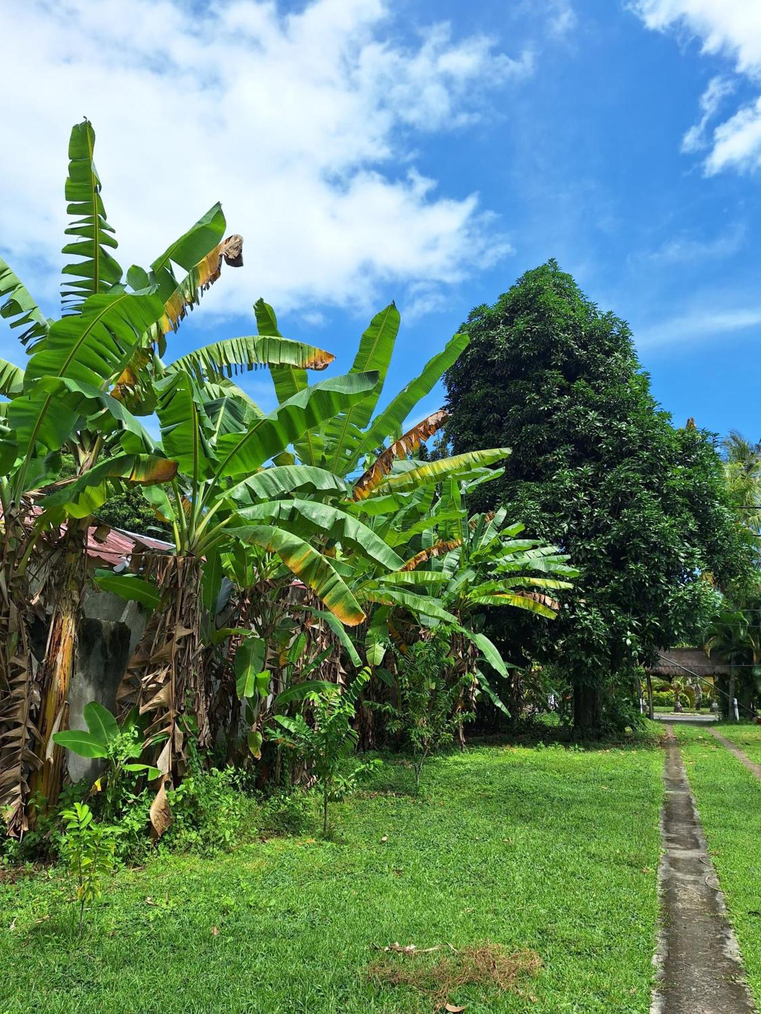 Lendang Eco Lodge Senggigi Luaran gambar