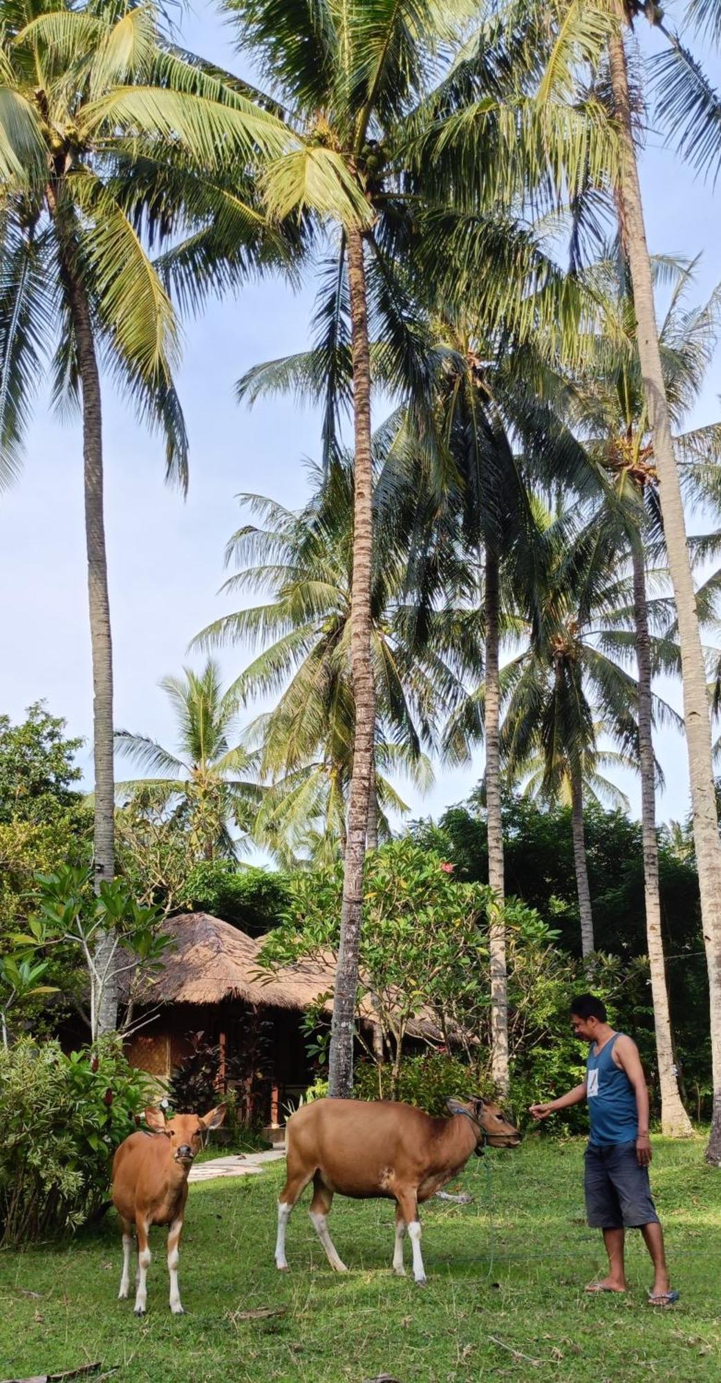 Lendang Eco Lodge Senggigi Luaran gambar
