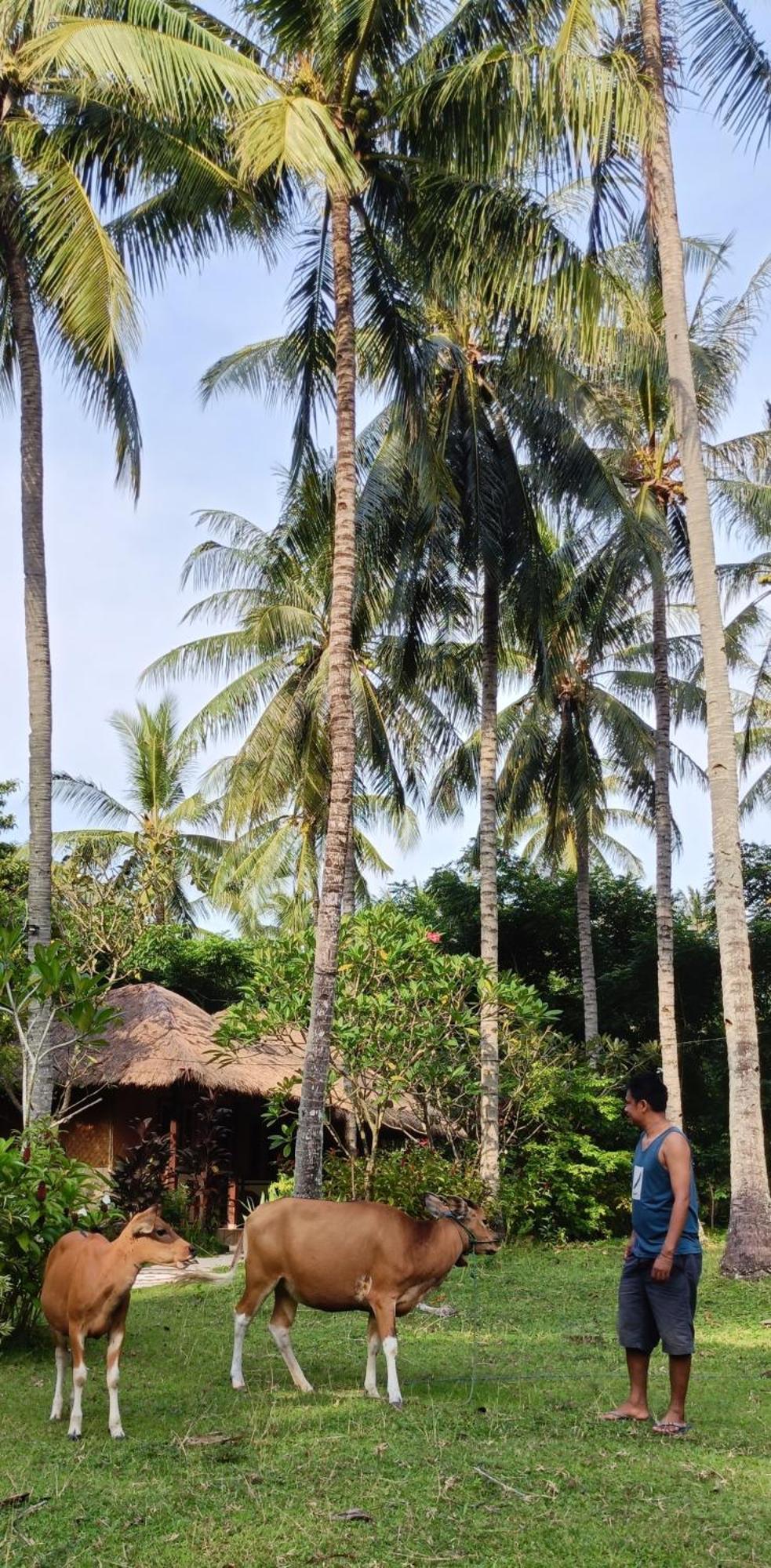 Lendang Eco Lodge Senggigi Luaran gambar